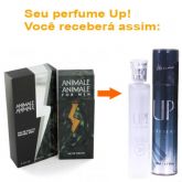 UP!43 - Animale